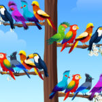 Bird Sort Puzzles